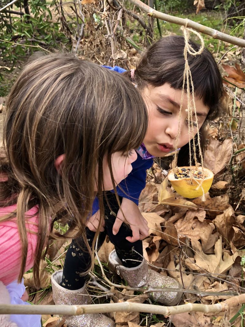 children exploring forest hands on outdoor education