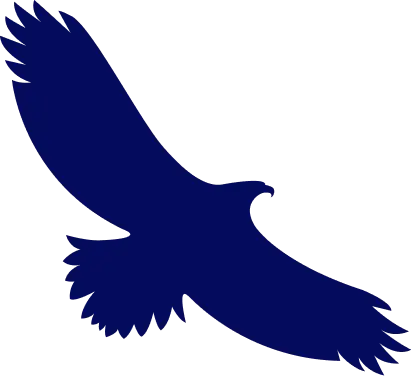 flying hawk logo