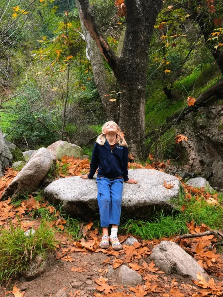 child exploring forest nature education program