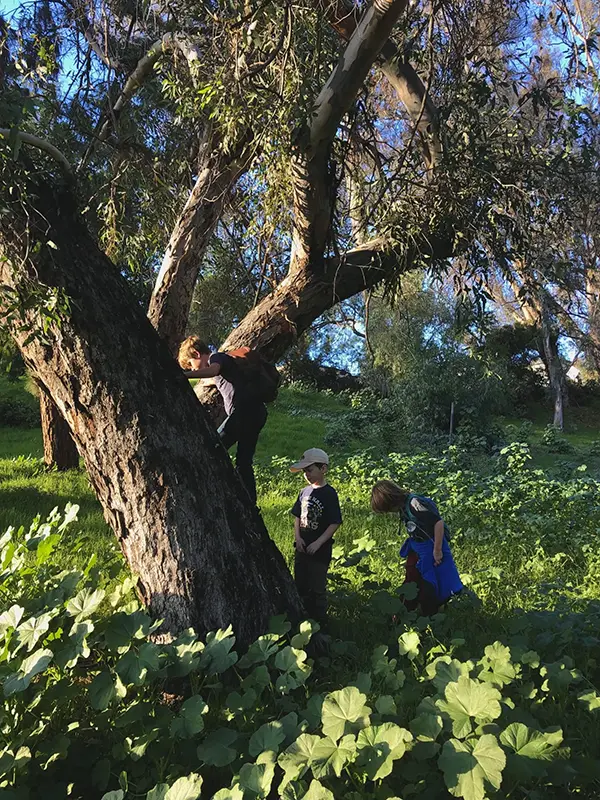 kids group hiking forest outdoor program